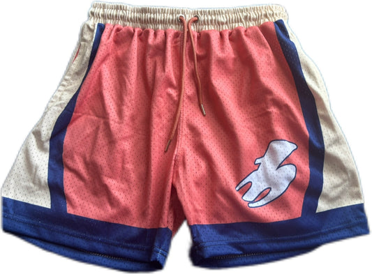 Sabr Shorts